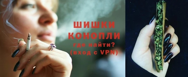прущие крисы Вяземский