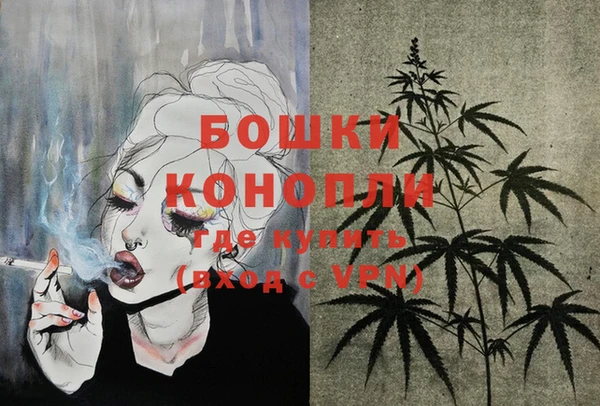 прущие крисы Вяземский